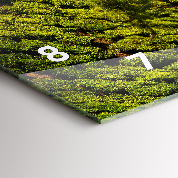 Ceas orizontale de perete din sticlă Dealul de ceai