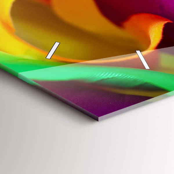 Ceas orizontale de perete din sticlă Trandafir curcubeu