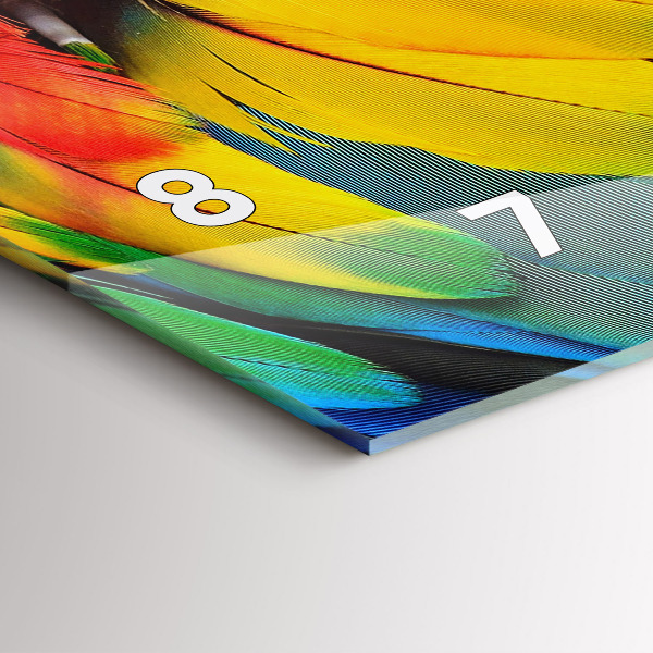 Ceas orizontale de perete din sticlă Aripi colorate de pasăre Macaw