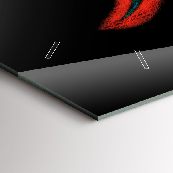 Ceas orizontale de perete din sticlă Pene de păsări colorate