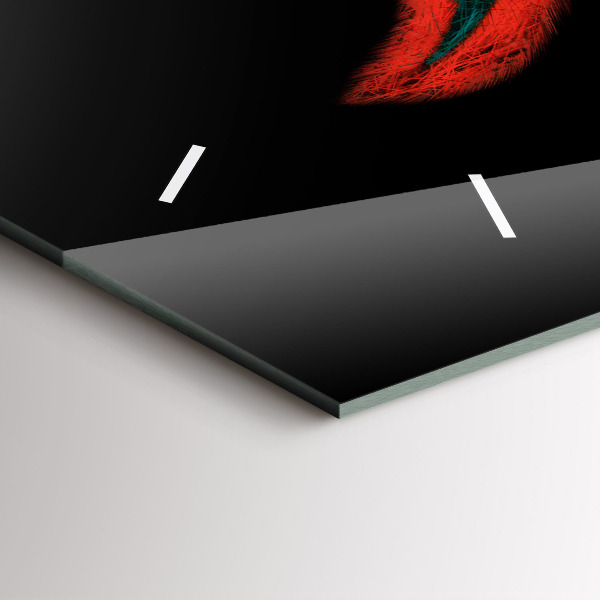 Ceas orizontale de perete din sticlă Pene de păsări colorate