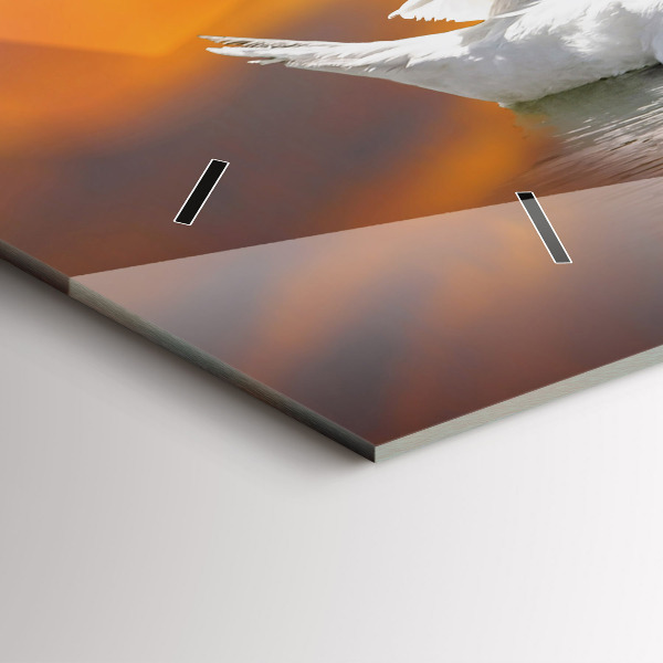 Ceas orizontale de perete din sticlă Lebedele îndrăgostite