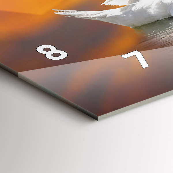 Ceas orizontale de perete din sticlă Lebedele îndrăgostite