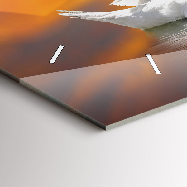 Ceas orizontale de perete din sticlă Lebedele îndrăgostite