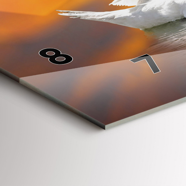 Ceas orizontale de perete din sticlă Lebedele îndrăgostite