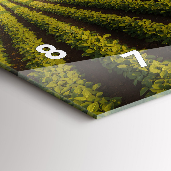 Ceas orizontale de perete din sticlă Tractorul pulverizează un câmp