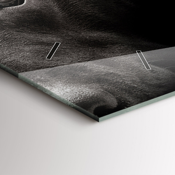 Ceas orizontale de perete din sticlă Câine și pisică scoțian