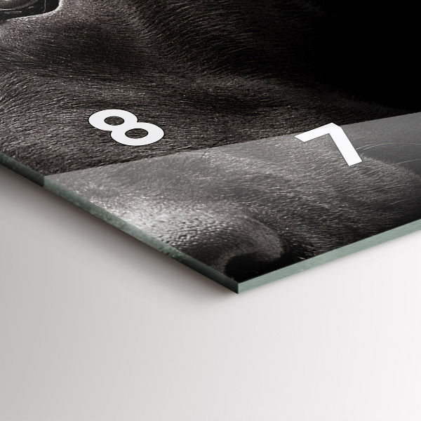 Ceas orizontale de perete din sticlă Câine și pisică scoțian