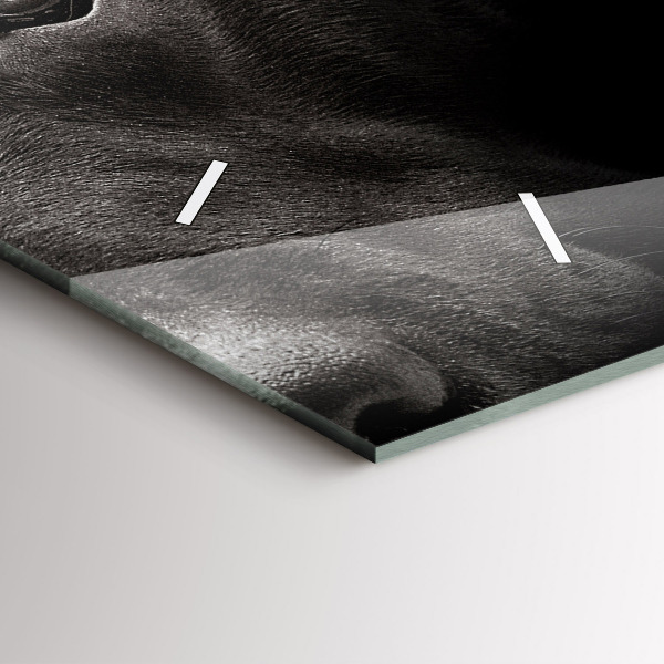 Ceas orizontale de perete din sticlă Câine și pisică scoțian