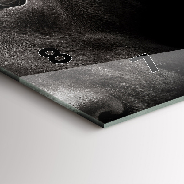 Ceas orizontale de perete din sticlă Câine și pisică scoțian