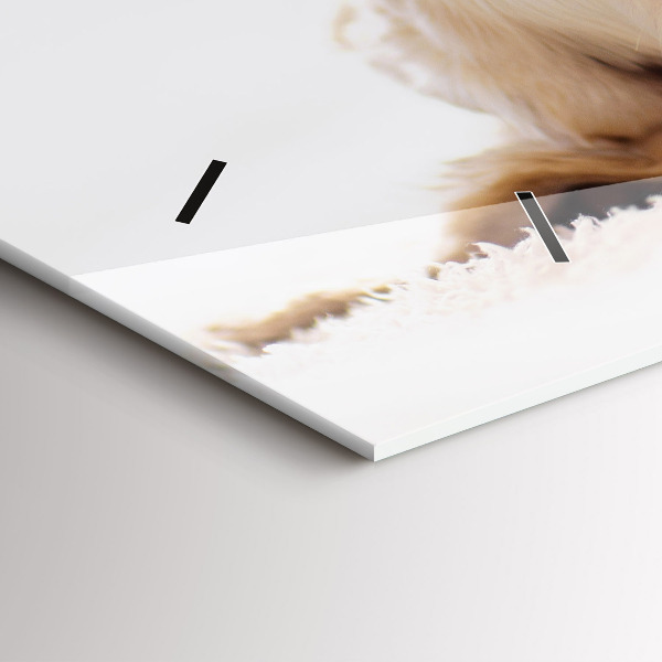 Ceas orizontale de perete din sticlă Pisică și câine adormit