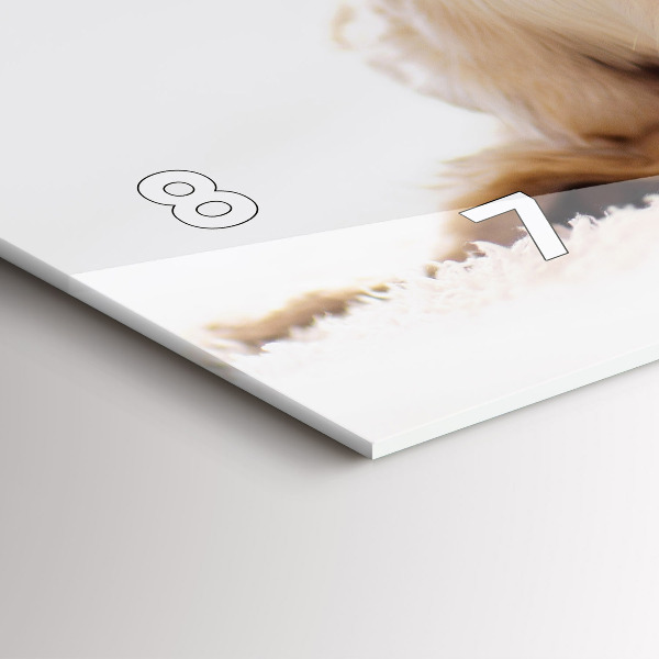 Ceas orizontale de perete din sticlă Pisică și câine adormit