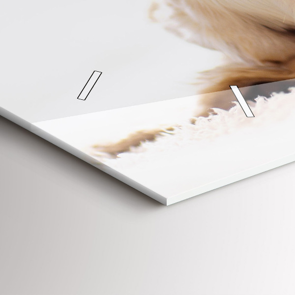 Ceas orizontale de perete din sticlă Pisică și câine adormit