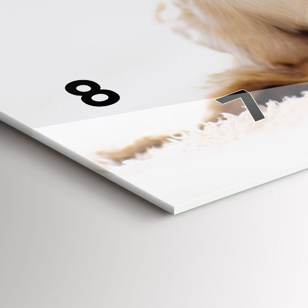 Ceas orizontale de perete din sticlă Pisică și câine adormit