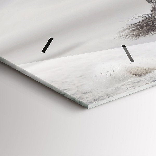 Ceas orizontale de perete din sticlă Cal alb în galop