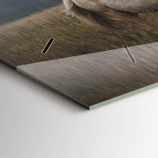 Ceas orizontale de perete din sticlă Caii în galop