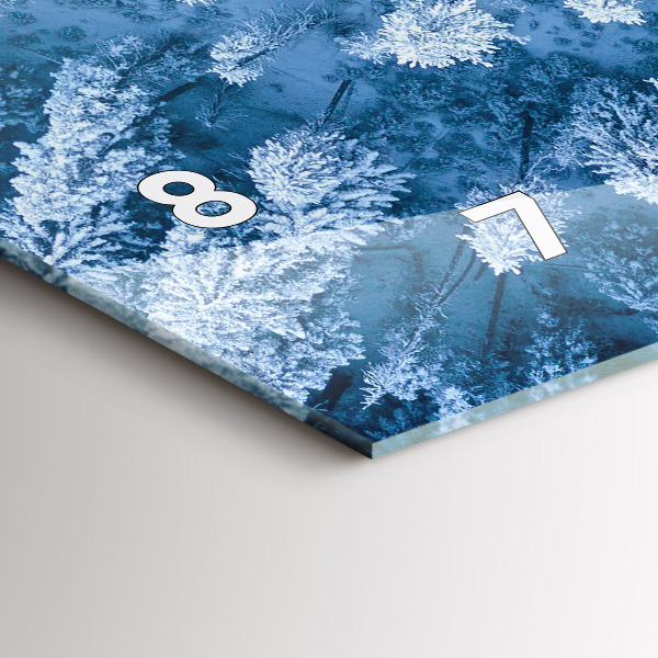 Ceas orizontale de perete din sticlă Pădure din vedere de pasăre