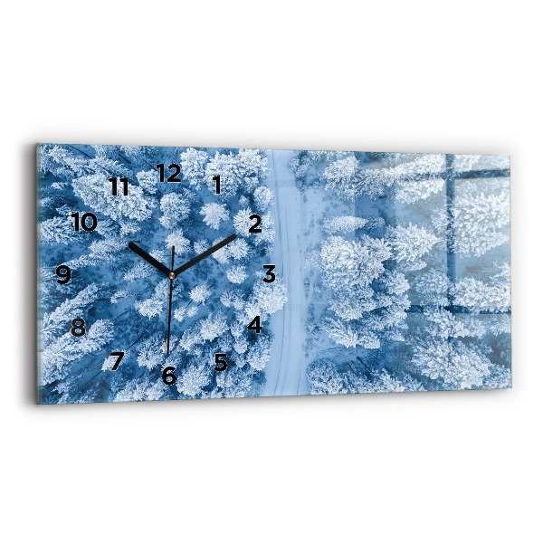 Ceas orizontale de perete din sticlă Pădure din vedere de pasăre