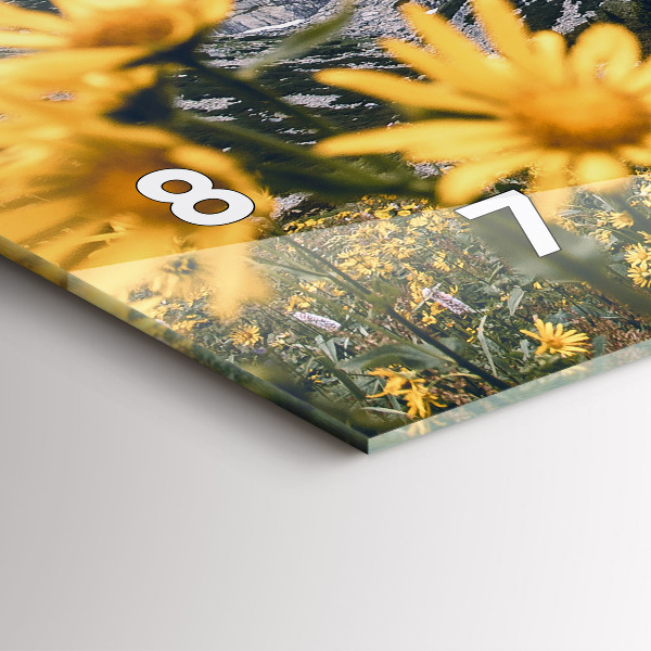 Ceas orizontale de perete din sticlă Lunca de flori în munți