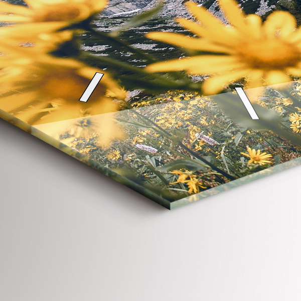 Ceas orizontale de perete din sticlă Lunca de flori în munți