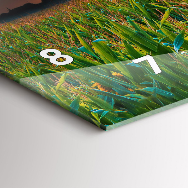 Ceas orizontale de perete din sticlă Floarea soarelui în pajiște