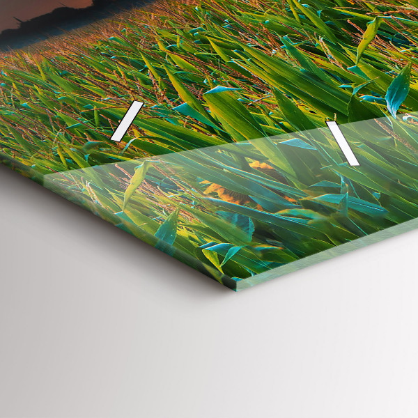 Ceas orizontale de perete din sticlă Floarea soarelui în pajiște