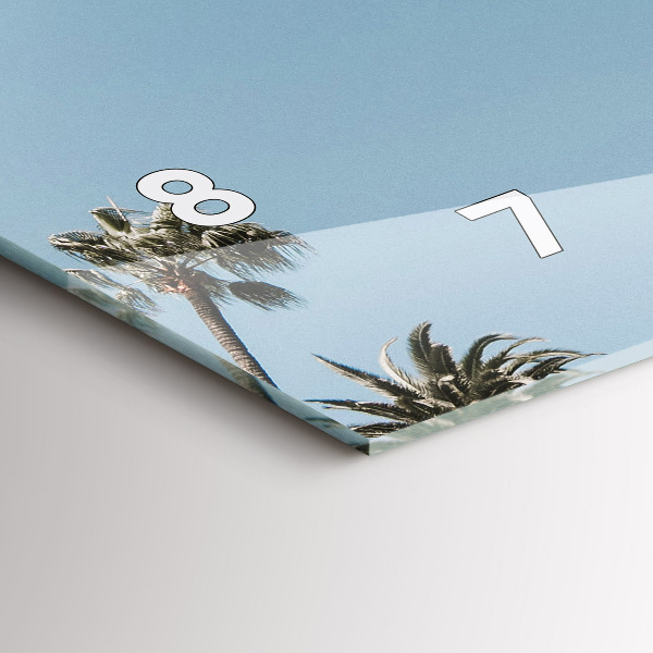 Ceas orizontale de perete din sticlă Palmieri din Los Angeles