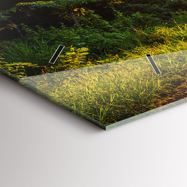 Ceas orizontale de perete din sticlă Parcul Surat Thani Thailanda