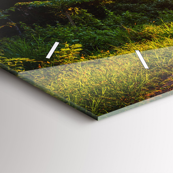 Ceas orizontale de perete din sticlă Parcul Surat Thani Thailanda