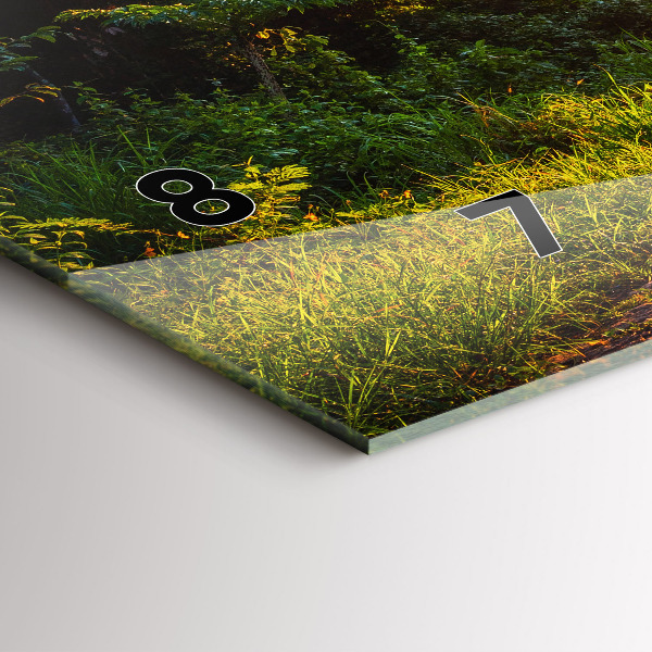 Ceas orizontale de perete din sticlă Parcul Surat Thani Thailanda