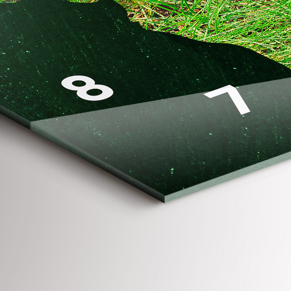 Ceas orizontale de perete din sticlă Harta lumii ierboase