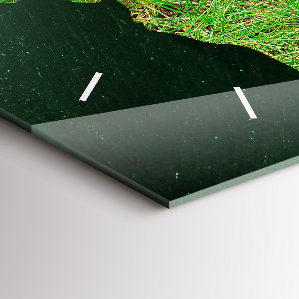 Ceas orizontale de perete din sticlă Harta lumii ierboase