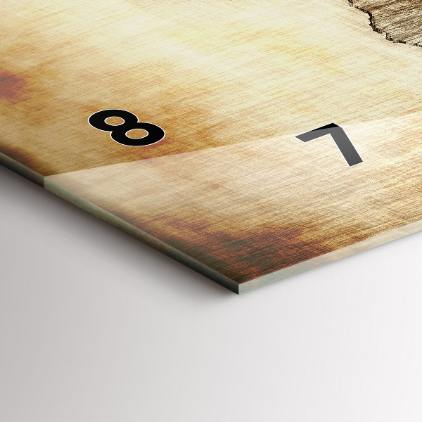 Ceas orizontale de perete din sticlă Harta lumii vechi