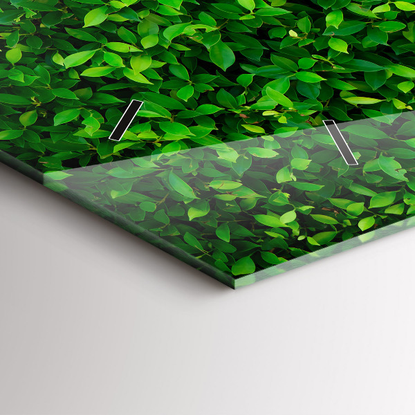 Ceas orizontale de perete din sticlă Frunze de gard viu