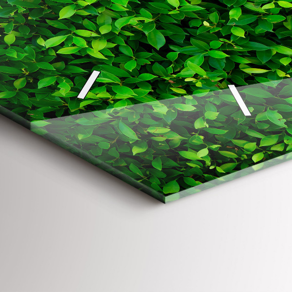 Ceas orizontale de perete din sticlă Frunze de gard viu