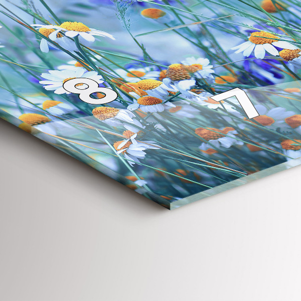 Ceas orizontale de perete din sticlă Fluture pe pajiște