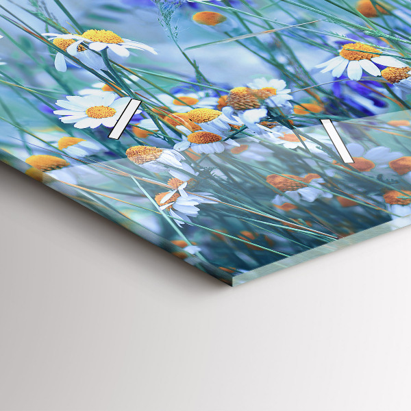 Ceas orizontale de perete din sticlă Fluture pe pajiște