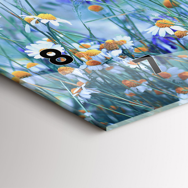 Ceas orizontale de perete din sticlă Fluture pe pajiște