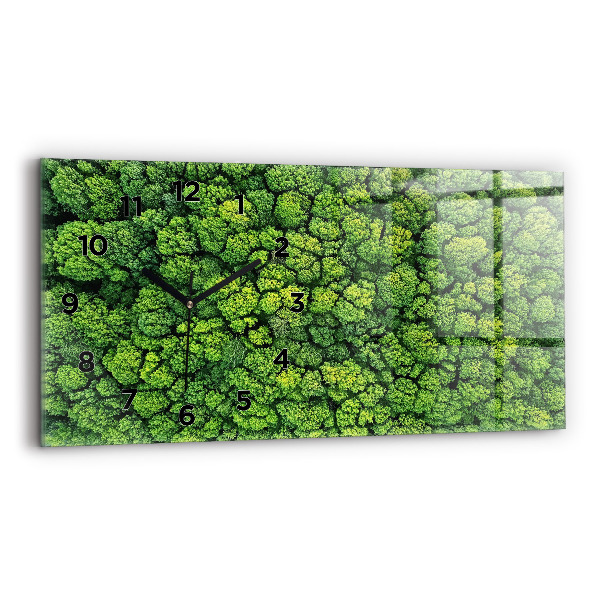 Ceas orizontale de perete din sticlă Pădure din vedere de ochi de pasăre