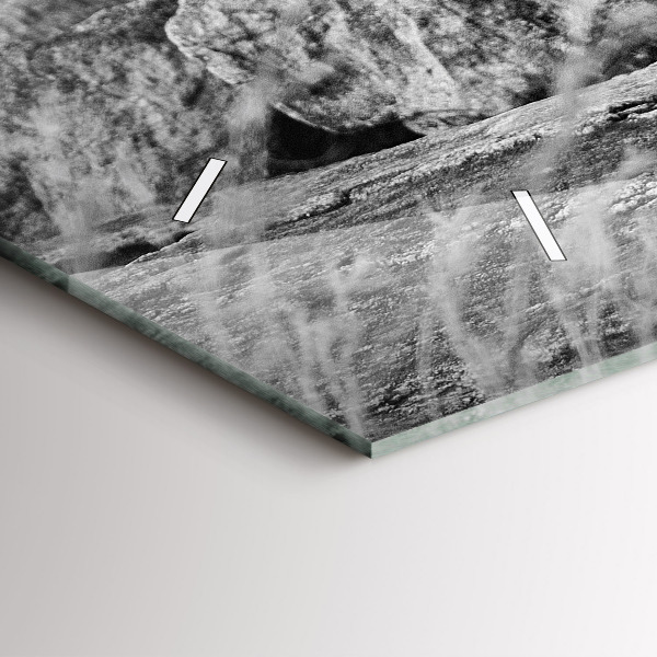 Ceas orizontale de perete din sticlă Rezumat - Leu