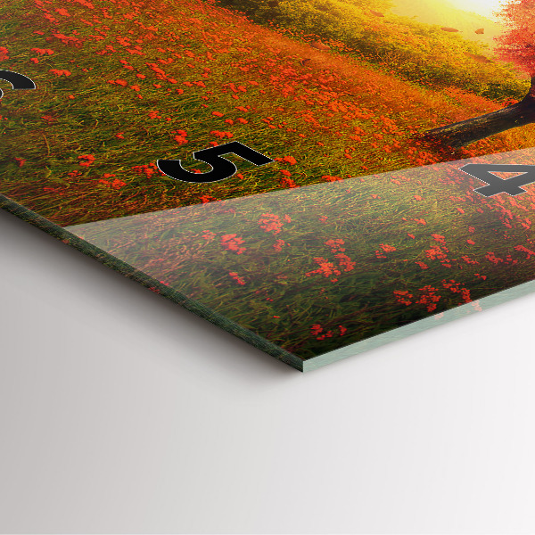 Ceas pătrat de perete din sticlă Arborele inimii iubirii