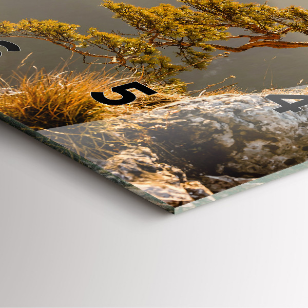 Ceas pătrat de perete din sticlă Un copac în munți