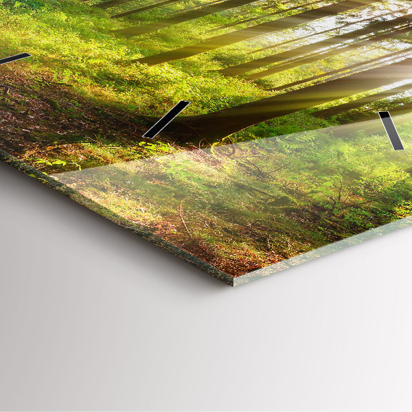 Ceas pătrat de perete din sticlă Răsărit de pădure