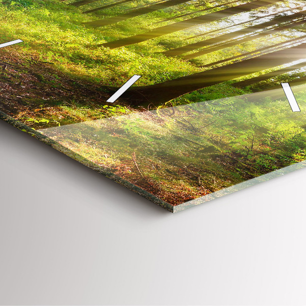 Ceas pătrat de perete din sticlă Răsărit de pădure