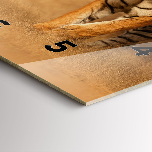 Ceas pătrat de perete din sticlă Vânătoarea de tigru