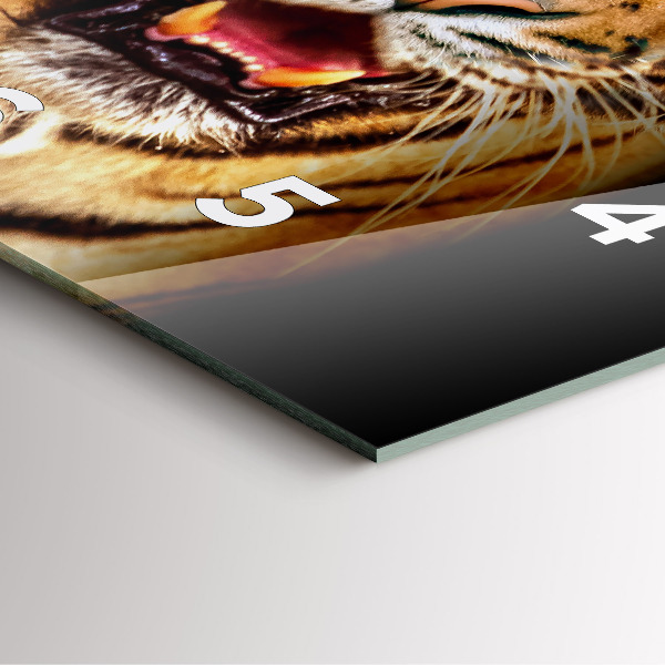 Ceas pătrat de perete din sticlă Tigru - ochi sălbatici
