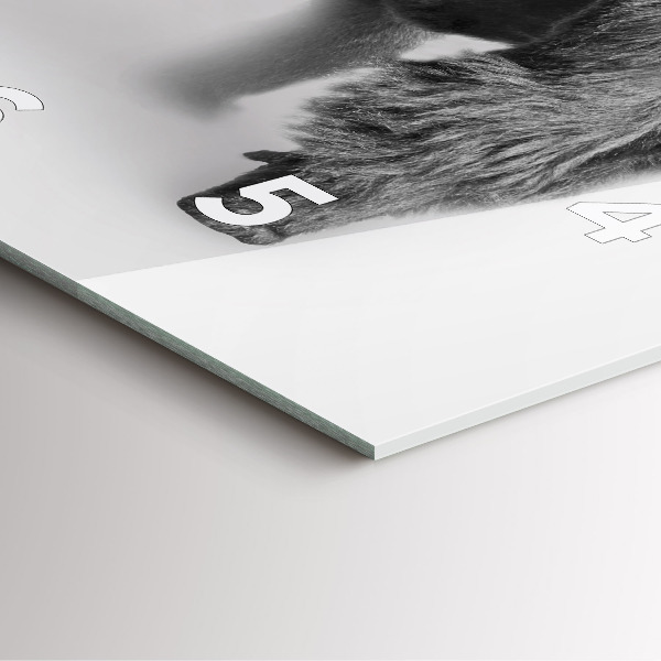 Ceas pătrat de perete din sticlă Colecție de artă animale