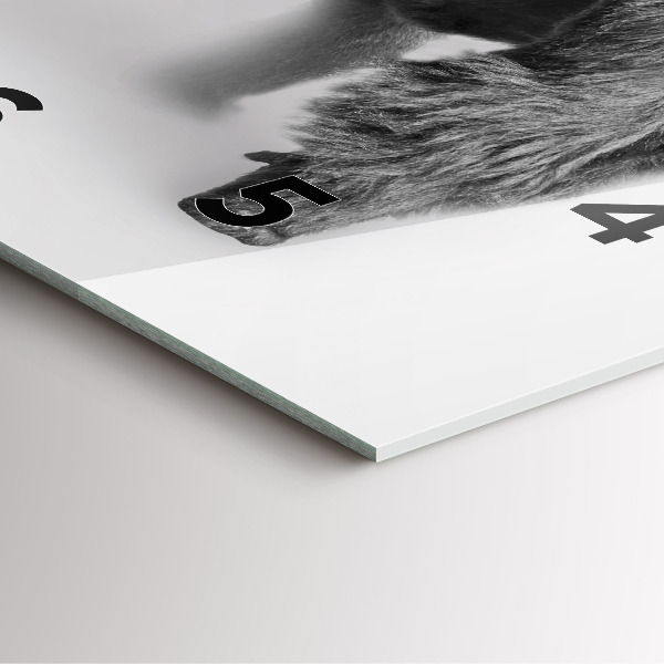 Ceas pătrat de perete din sticlă Colecție de artă animale