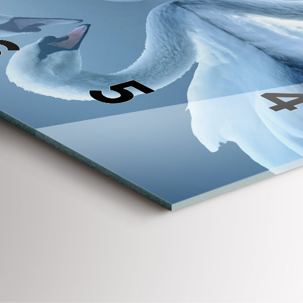 Ceas pătrat de perete din sticlă Lebăda în inimă