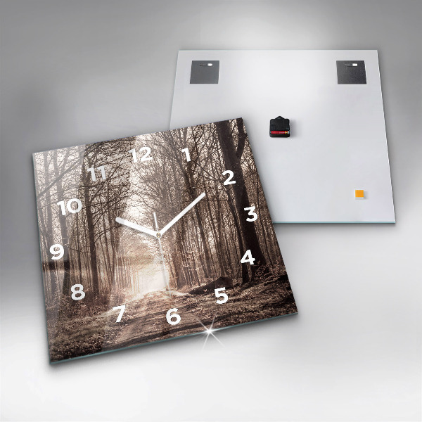 Ceas pătrat de perete din sticlă Poteca în sepia